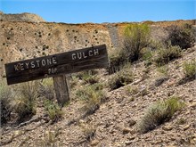 IMG_0814 2